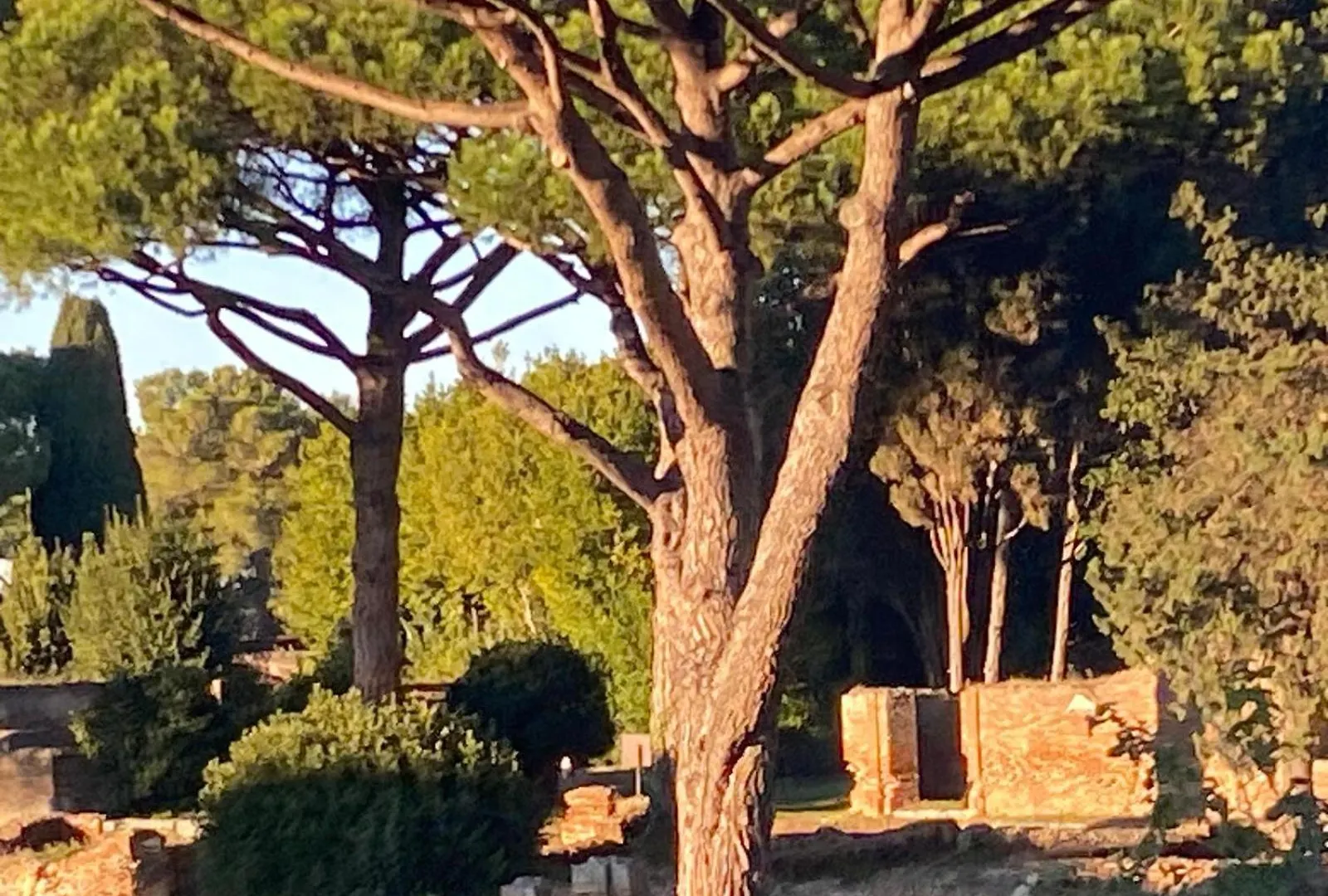 Casadellemeravigliedigiulia Ostia Antica Italy